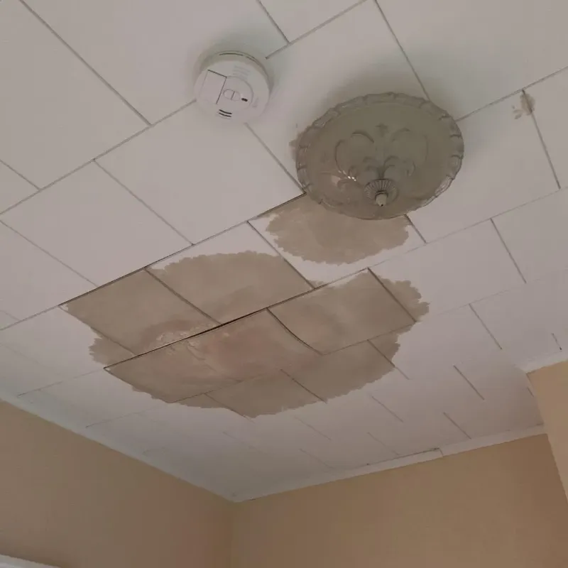 Ceiling Water Damage Repair in Sherman County, NE