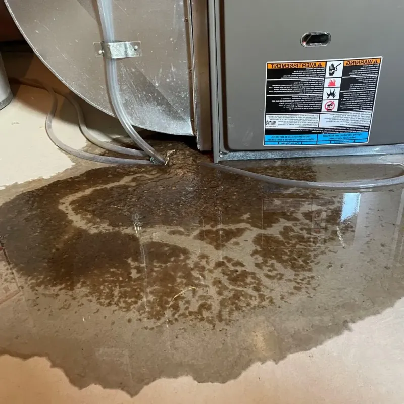 Pipe Burst and Leak Restoration in Sherman County, NE